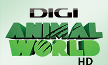 Digi Animal World Online