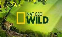 National Geographic Wild Online